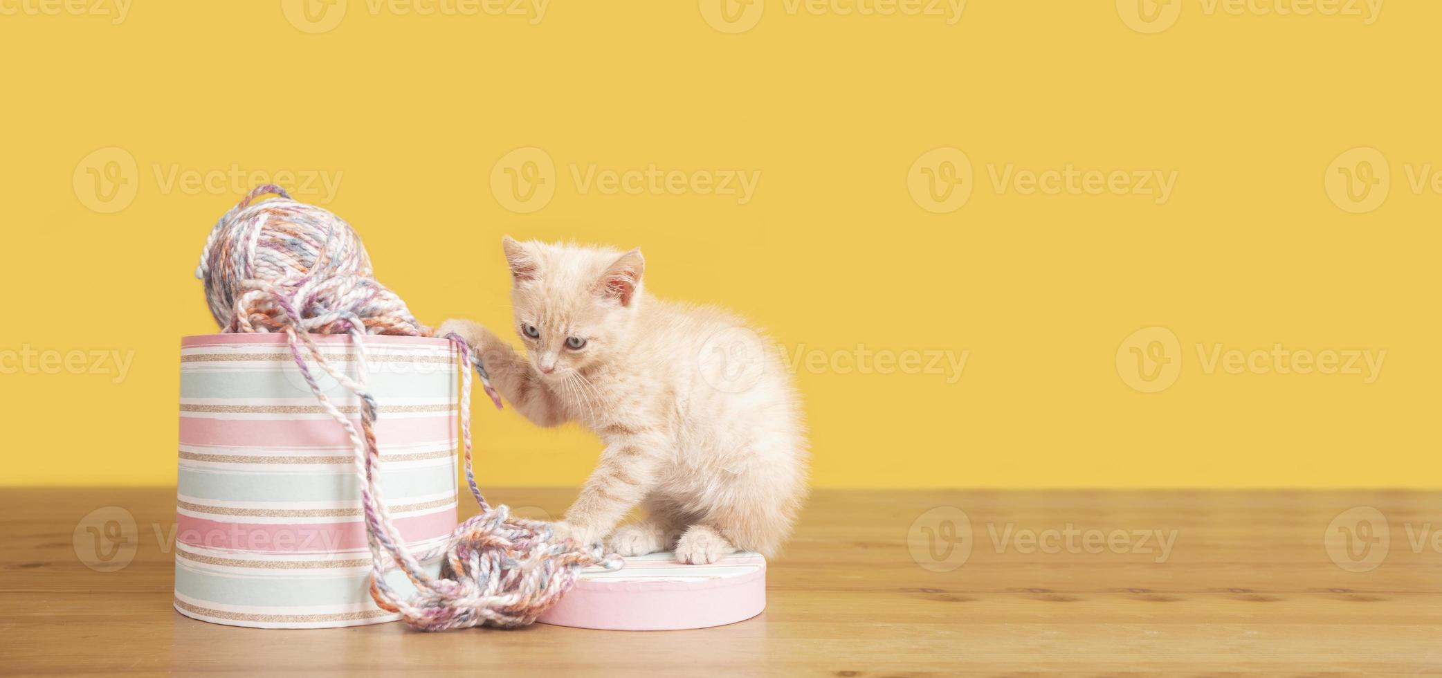 Portrait of cute baby kitten next to a pink box with balls of wool biting and messing up the wool photo