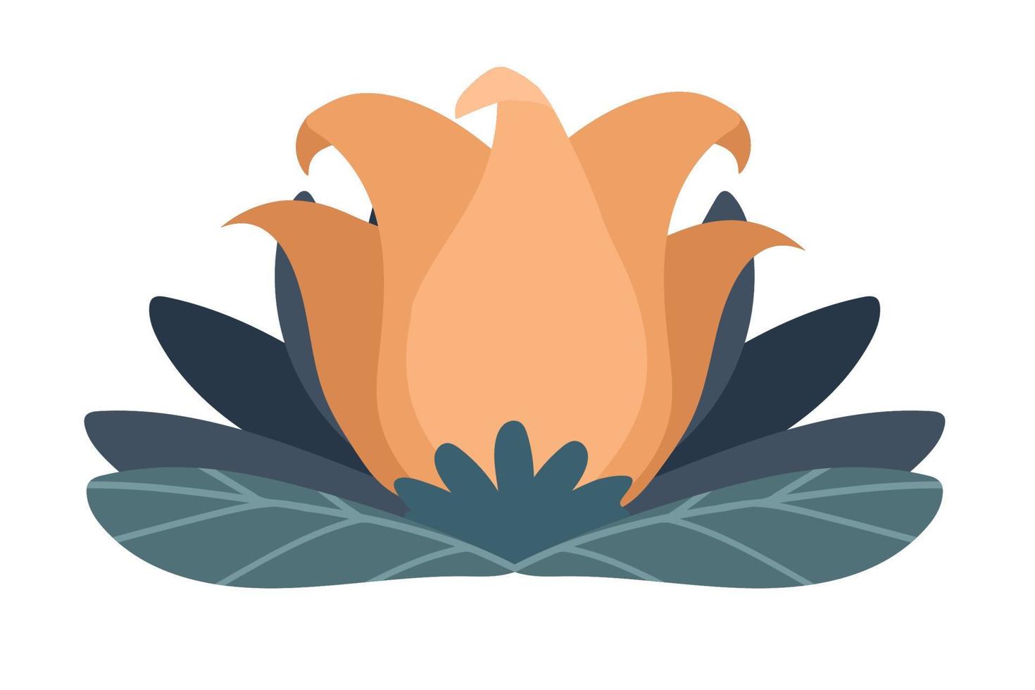 beautiful flower and leaf vector