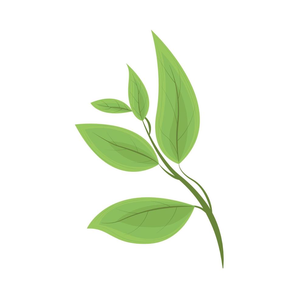 branch foliage nature vector