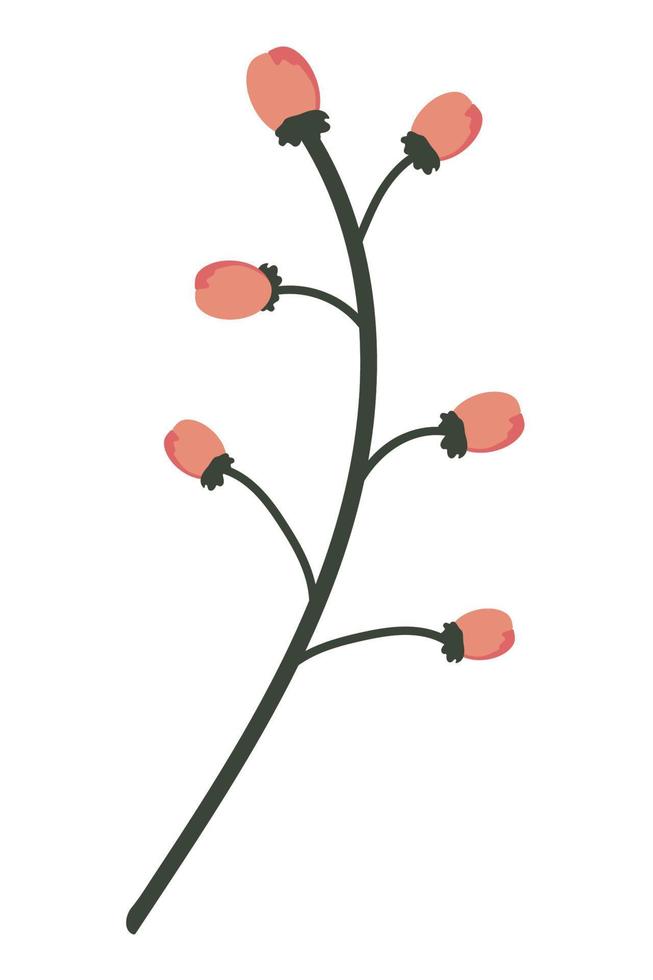 flower branch nature vector