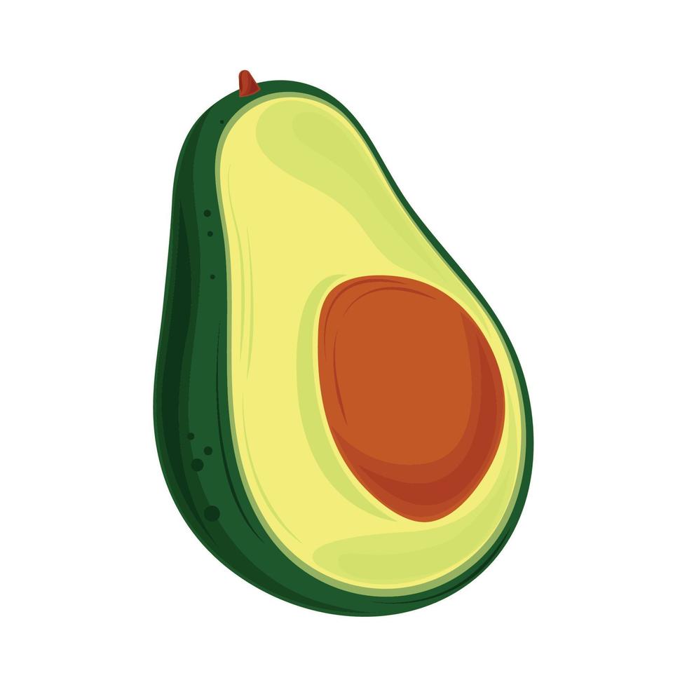 avocado fruit icon vector