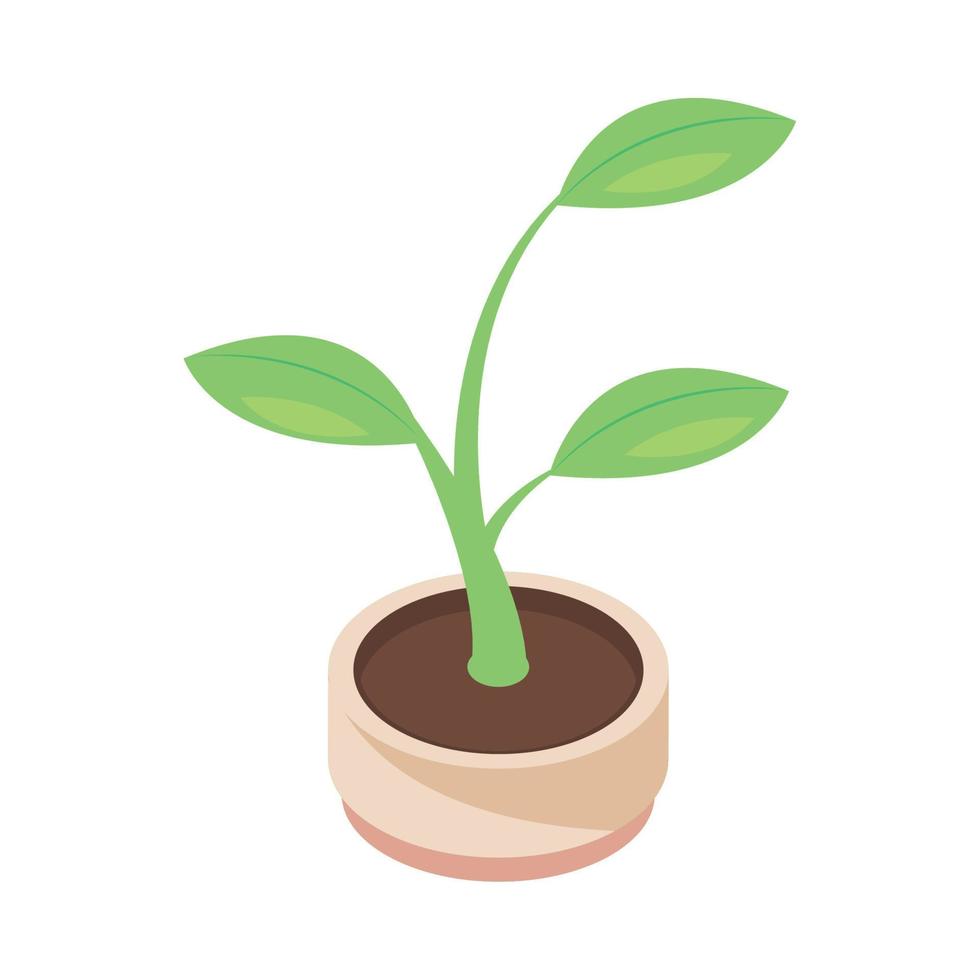 potted plant nature vector