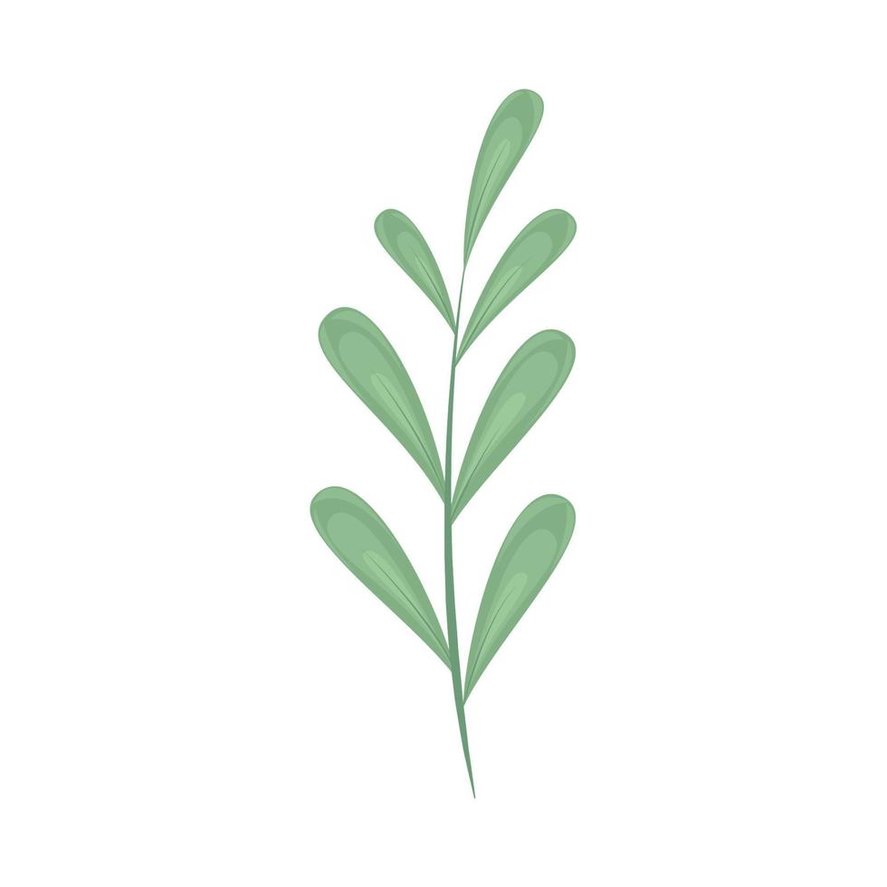 nature foliage branch vector