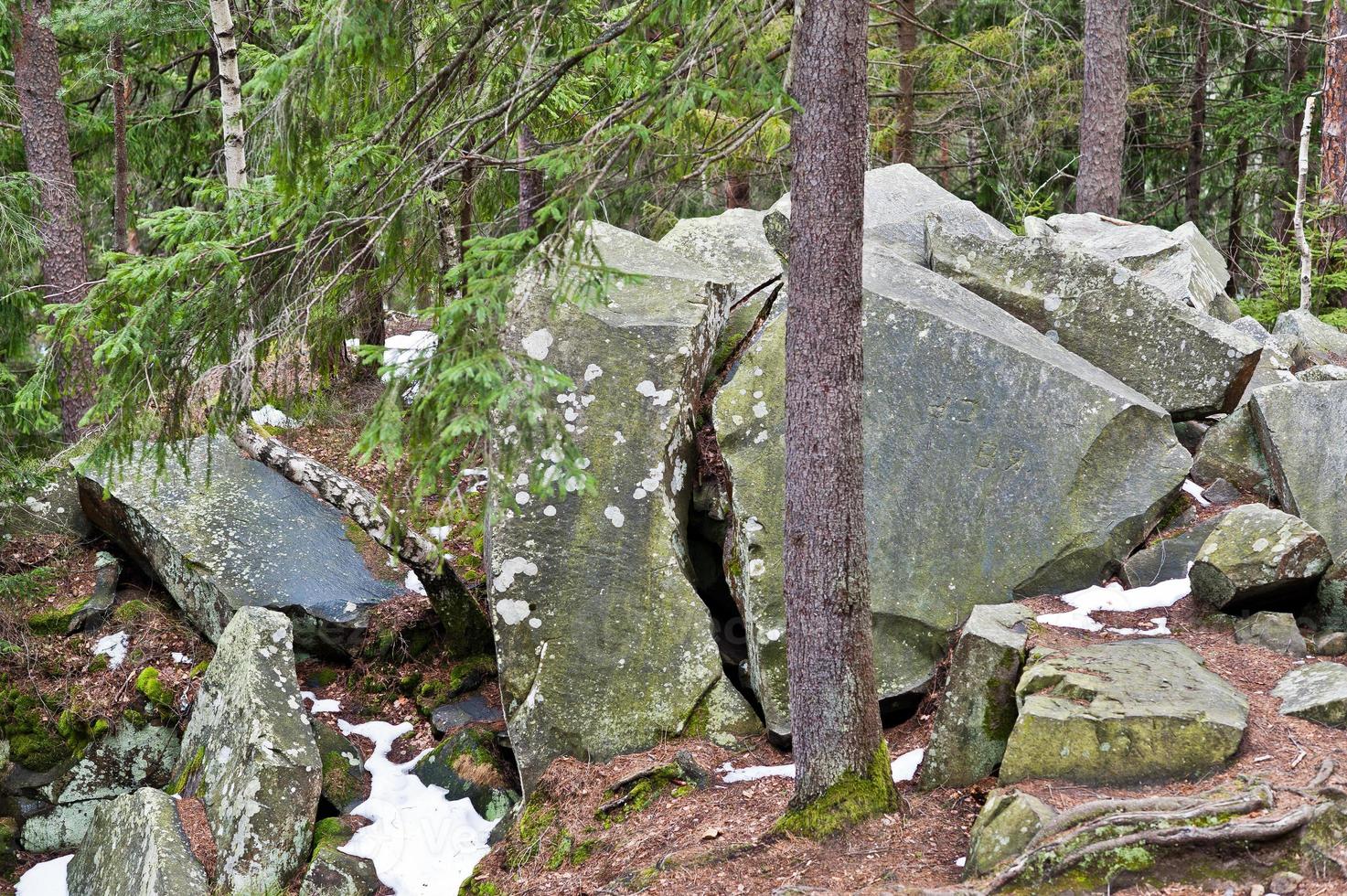 Dovbush rocks in green forest at Carpathian mountains. photo