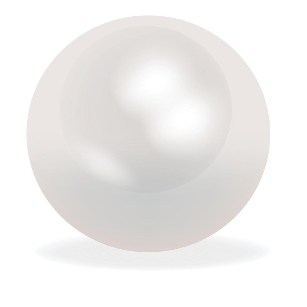 perla blanca natural realista sobre fondo.perla de ostra para accesorios.ilustración vectorial realista.signo, símbolo, icono o logotipo aislado. vector