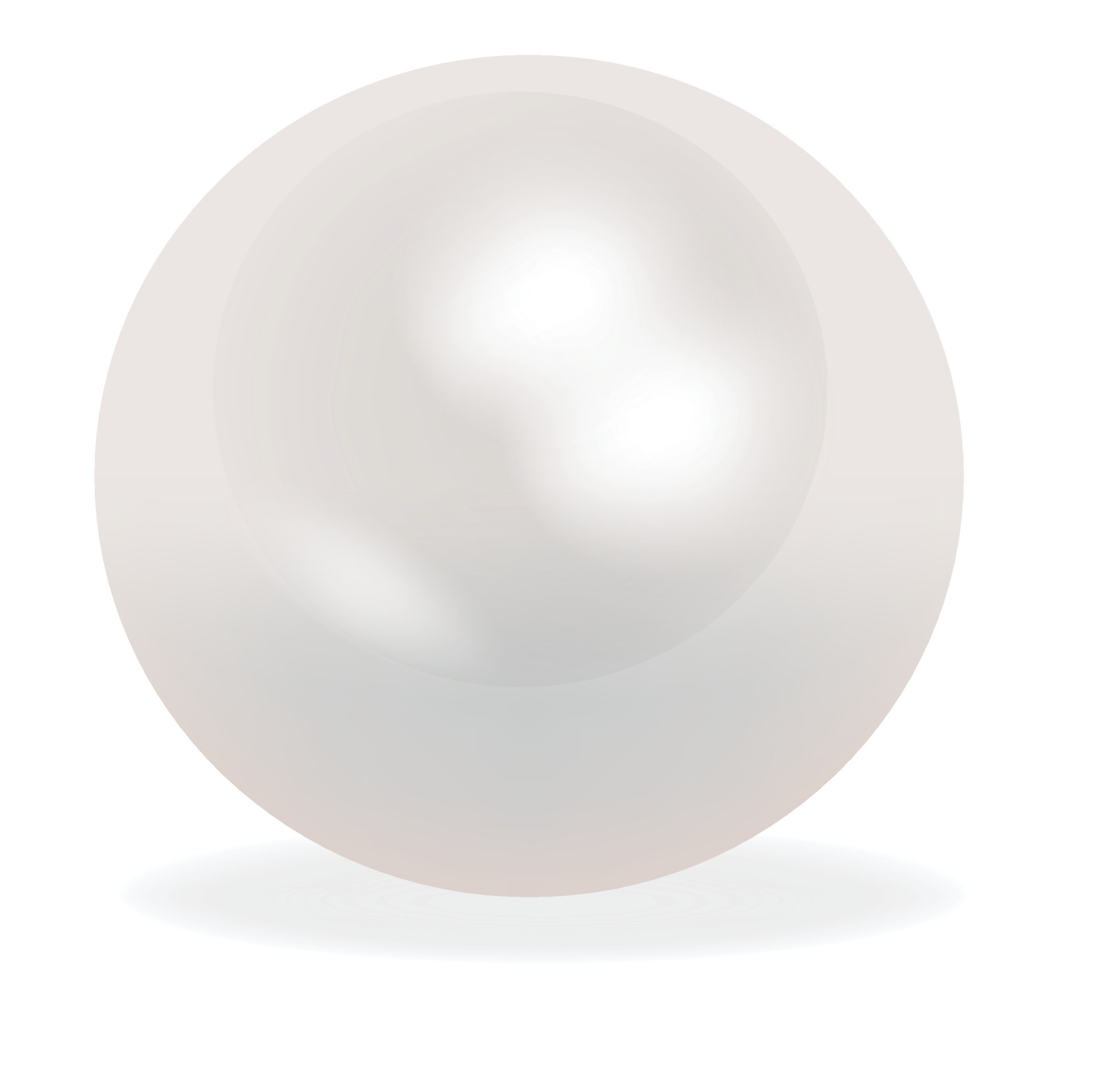 Realistic natural white pearl on background.Oyster pearl for accessories.Realistic vector