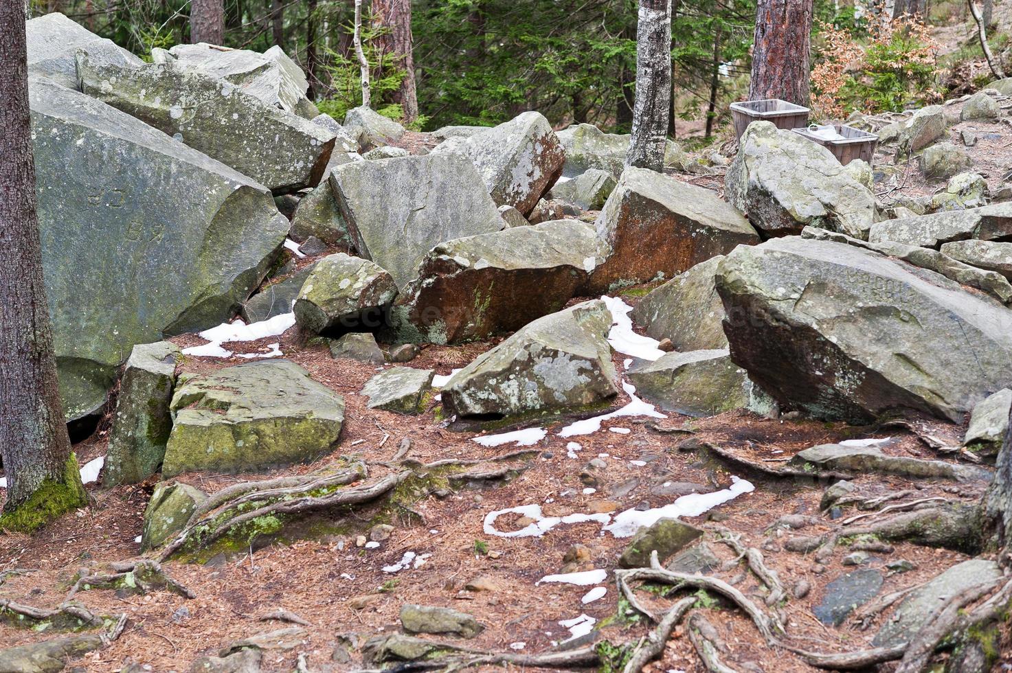 Dovbush rocks in green forest at Carpathian mountains. photo