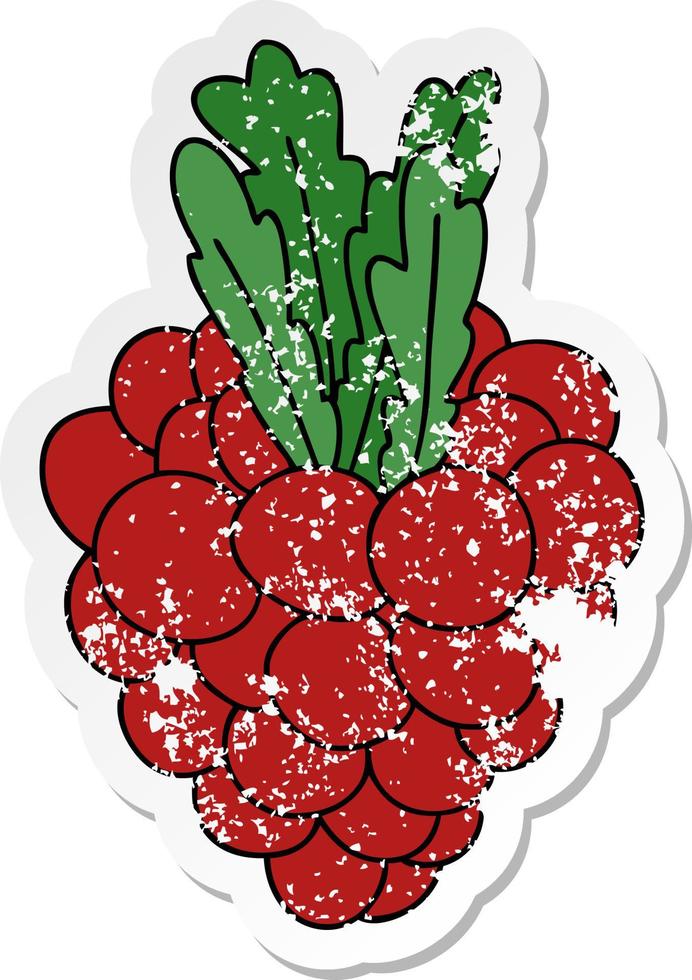 distressed sticker of a quirky hand drawn cartoon bunch of grapes vector