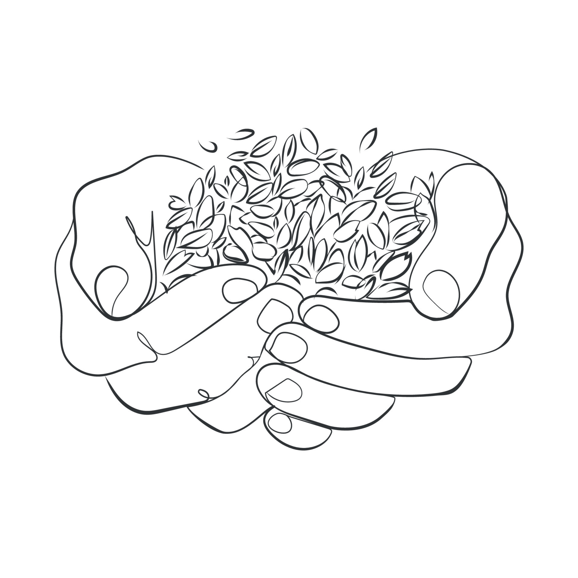 Wheat grains in human palms line art drawing,vector illustration.Farmer
