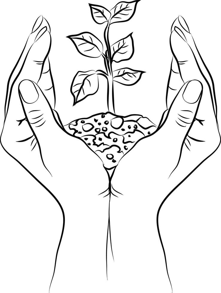 Doodle style line drawing of hands of persons holding a tree together. Global tree plantation day.  Agriculture ecology concept. nature concept vector sketch.