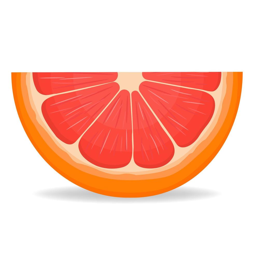 Fresh bright exotic cut slice grapefruit isolated on white background. Summer fruits for healthy lifestyle. Organic fruit. Cartoon style. Vector illustration for any design.