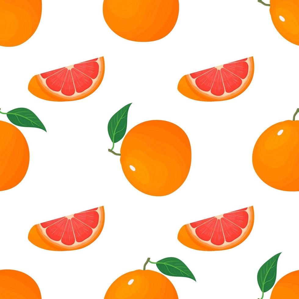 Seamless pattern with fresh bright exotic whole and cut slice grapefruit isolated on white background. Summer fruits for healthy lifestyle. Organic fruit. Vector illustration for any design.
