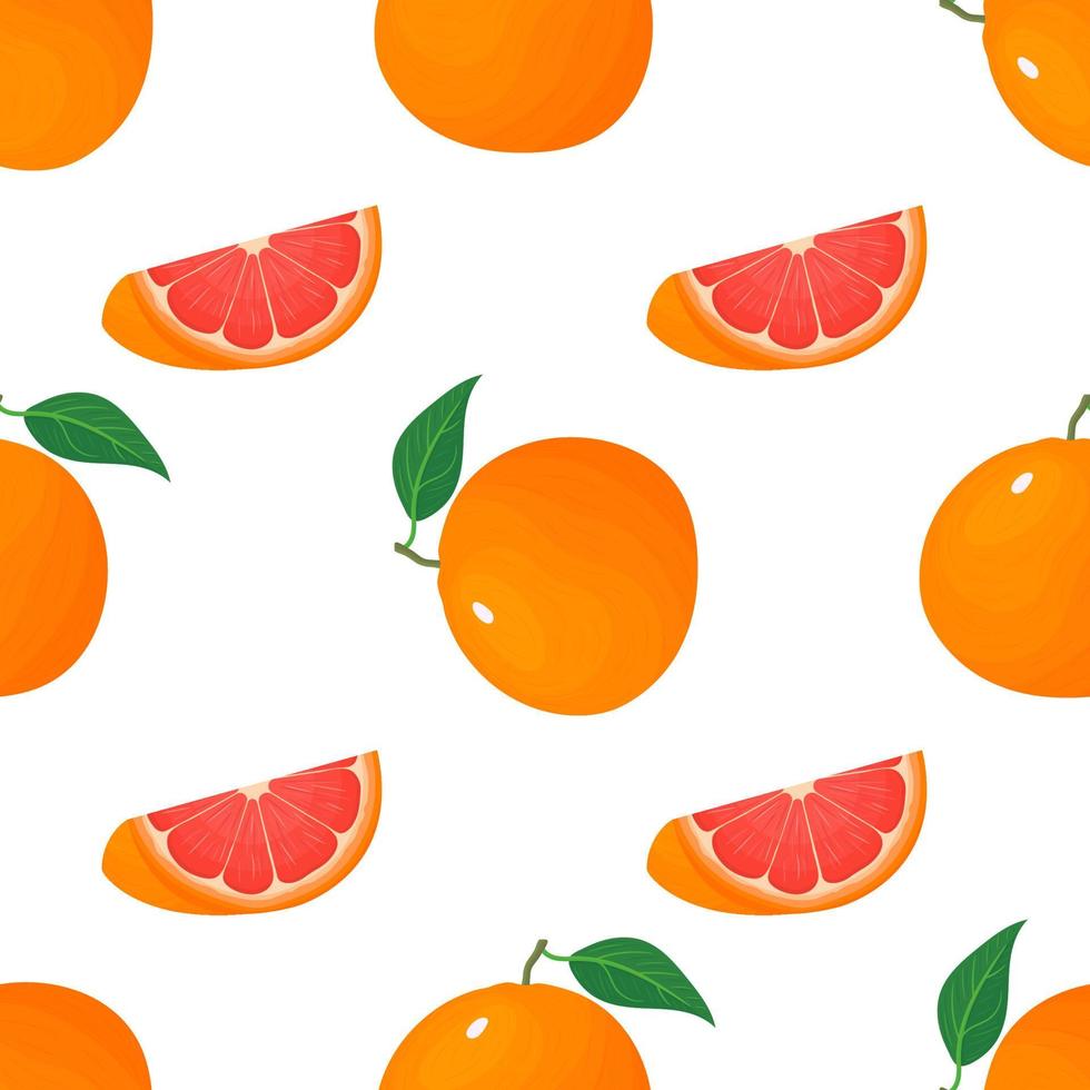 Seamless pattern with fresh bright exotic whole and cut slice grapefruit isolated on white background. Summer fruits for healthy lifestyle. Organic fruit. Vector illustration for any design.