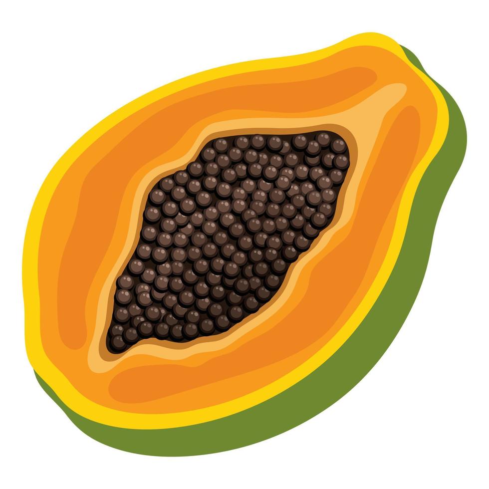 Fresh bright exotic half papaya fruit isolated on white background. Summer fruits for healthy lifestyle. Organic fruit. Cartoon style. Vector illustration for any design.