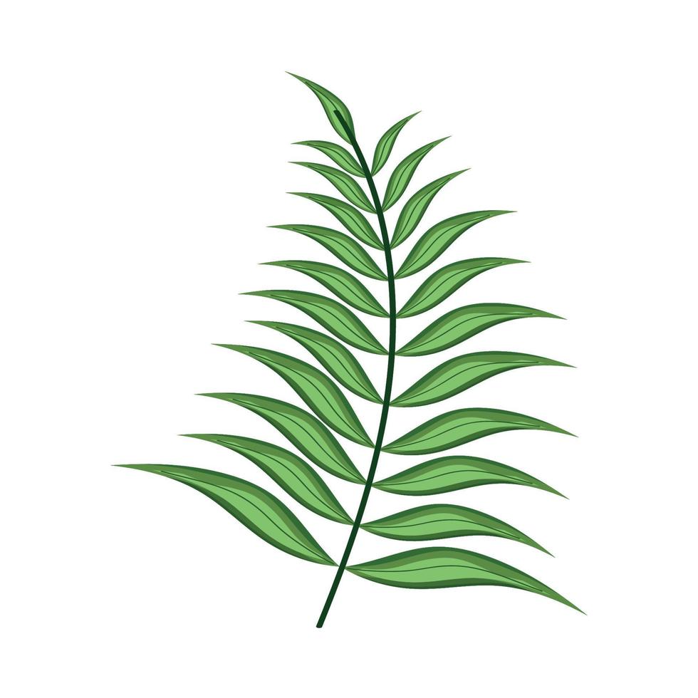 palma de hoja verde vector