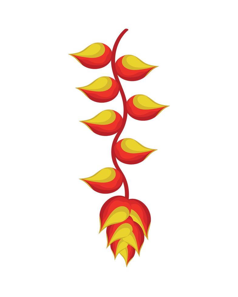heliconia hanging plant vector