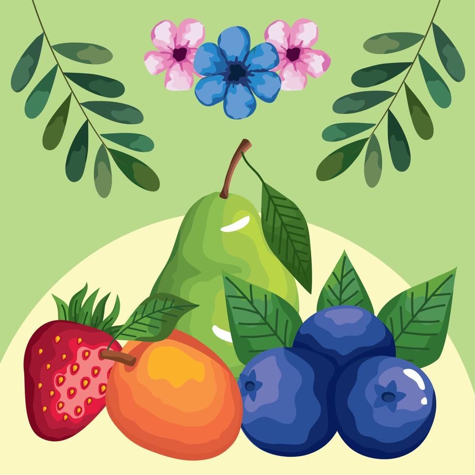 flores y frutas vector