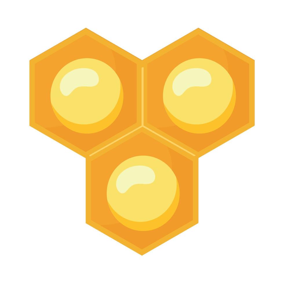 sweet honey figures vector