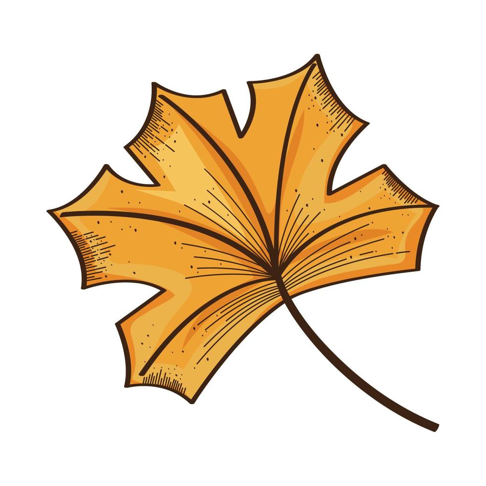 autumn season leaf vector