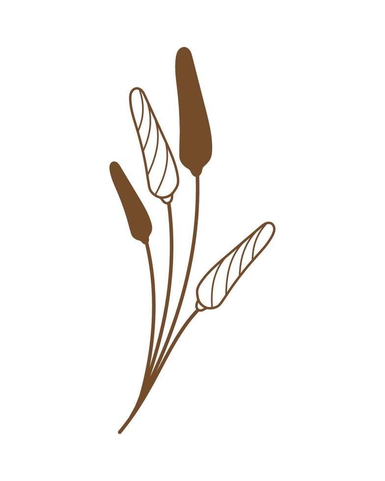 ecology nature plant vector