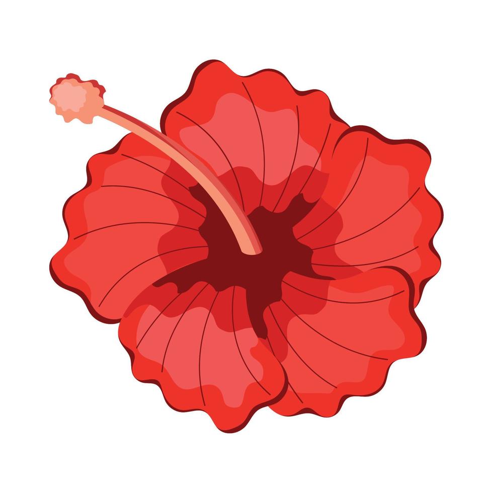 red exotic flower vector