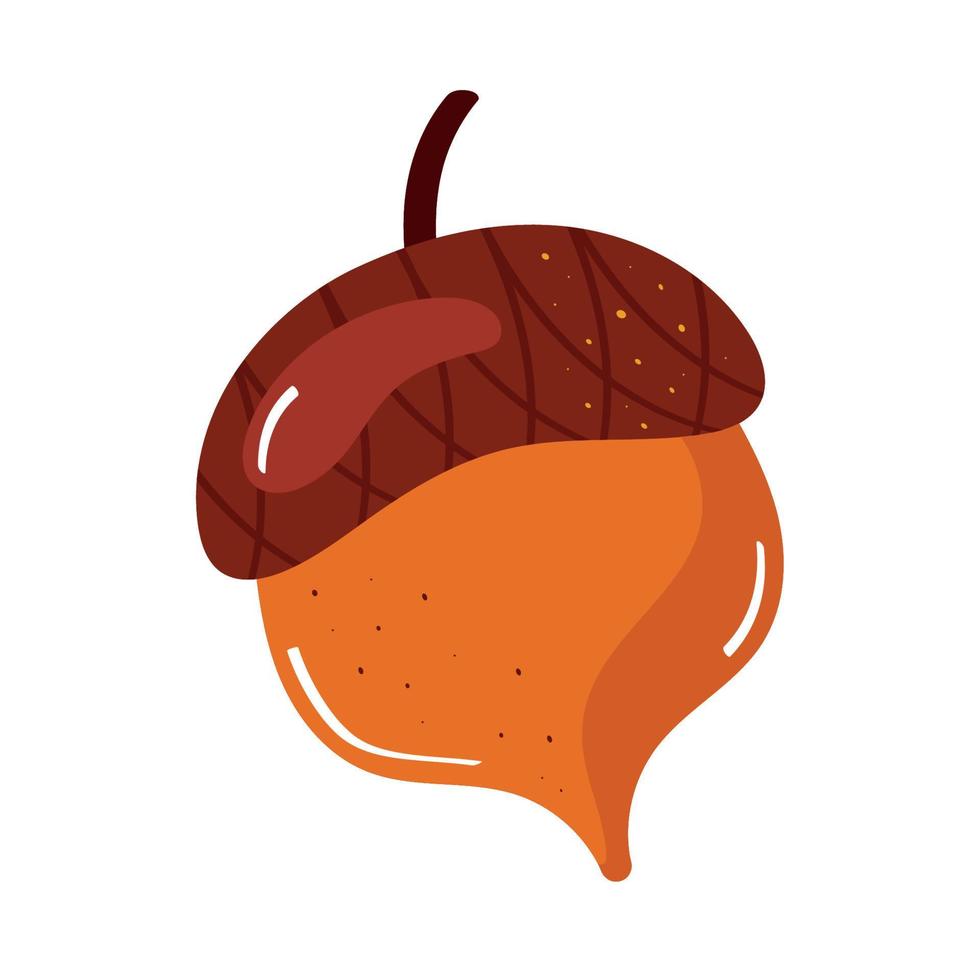 acorn autumn season vector