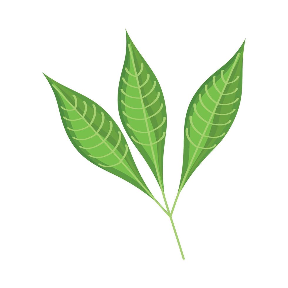 green leafs plants vector