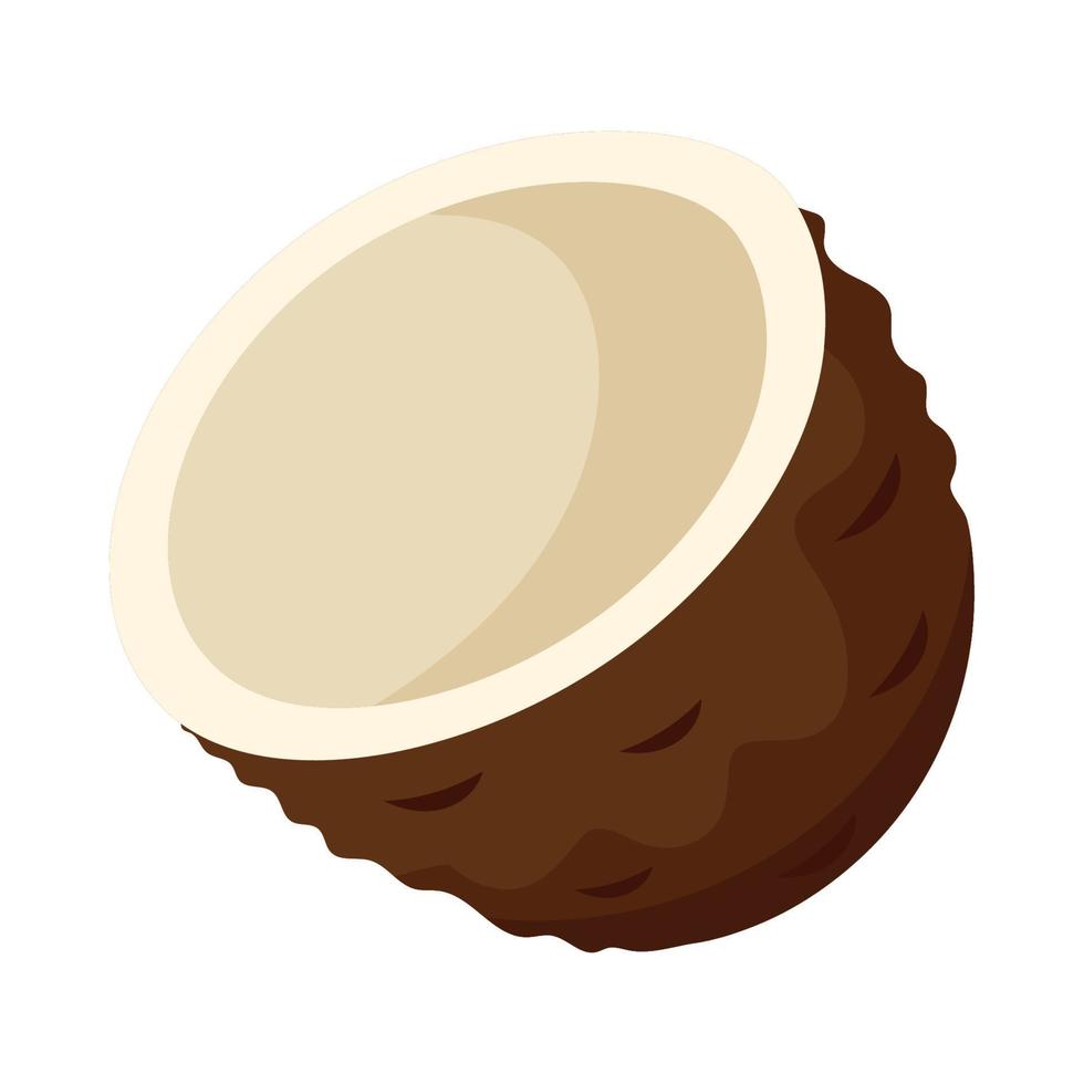 half coconut fruit fresh vector