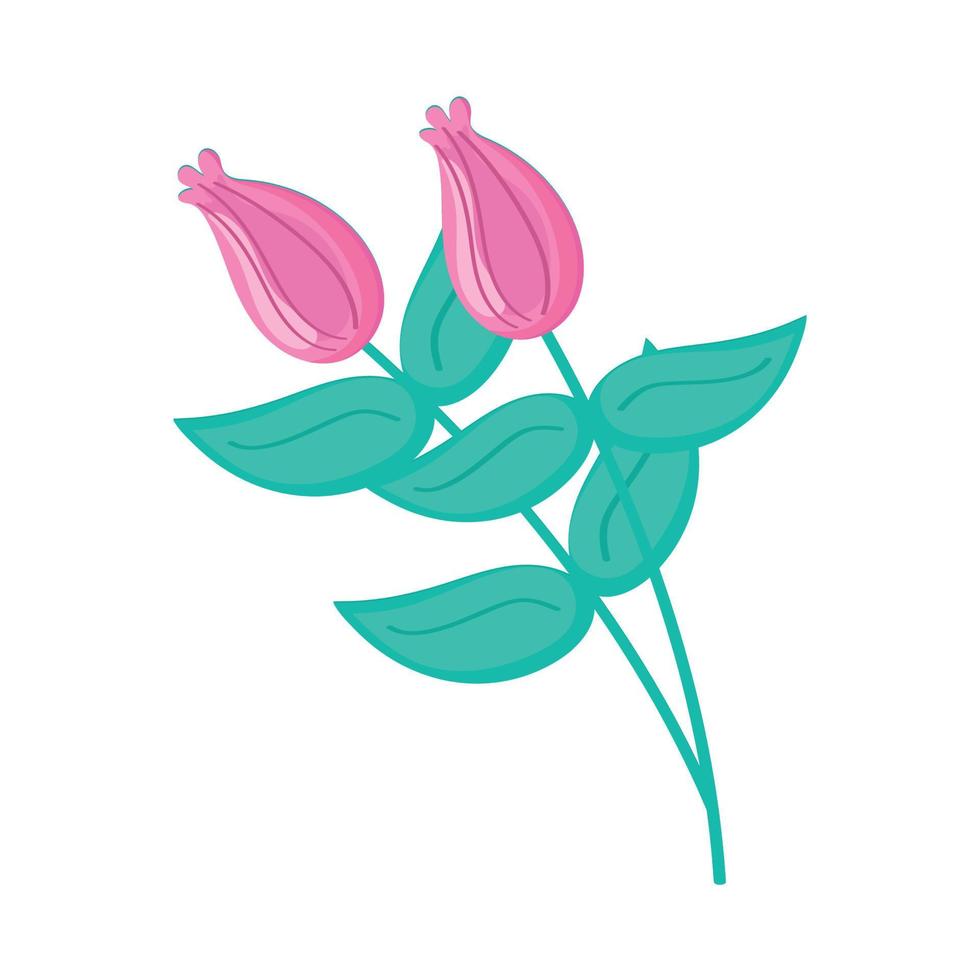 pink roses flowers vector