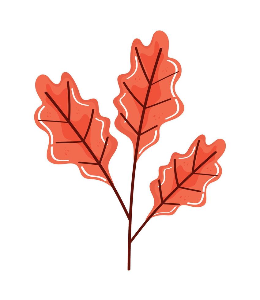 orange branch autumn season vector