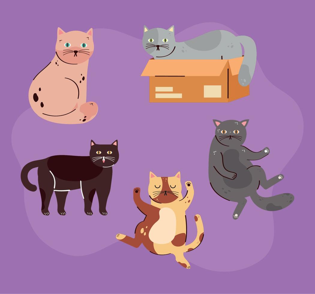 cinco lindos gatos mascotas vector