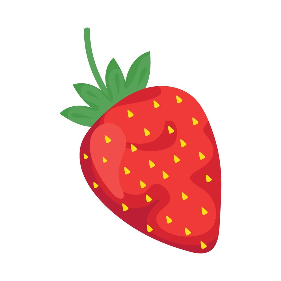 strawberry fresh fruit vector