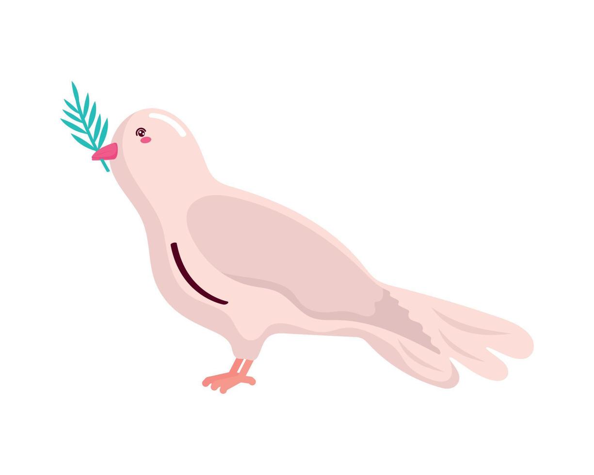 dove with olive branch vector
