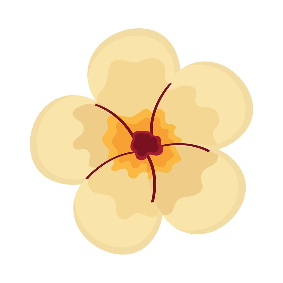 white flower petals vector