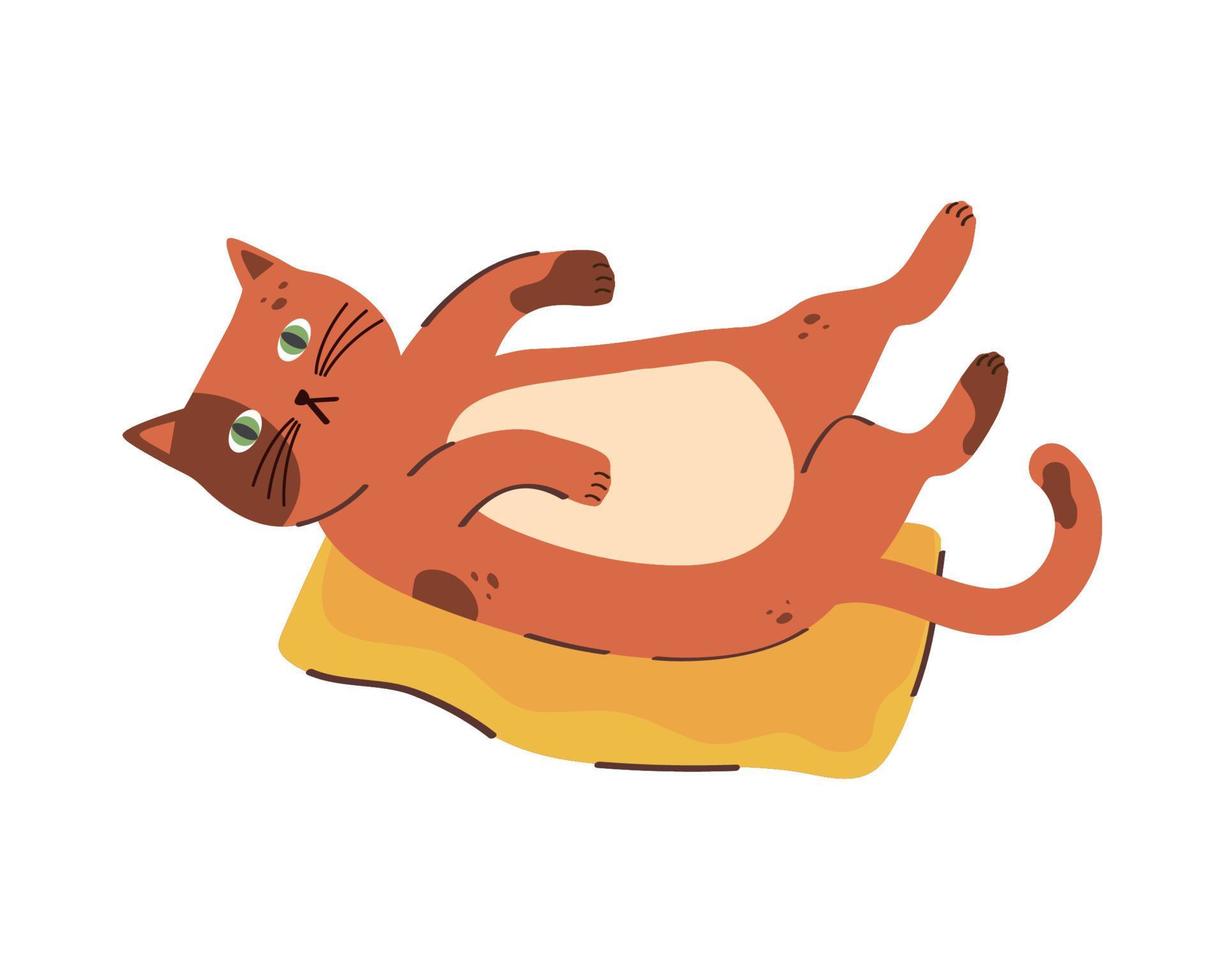 cute cat in pillow vector