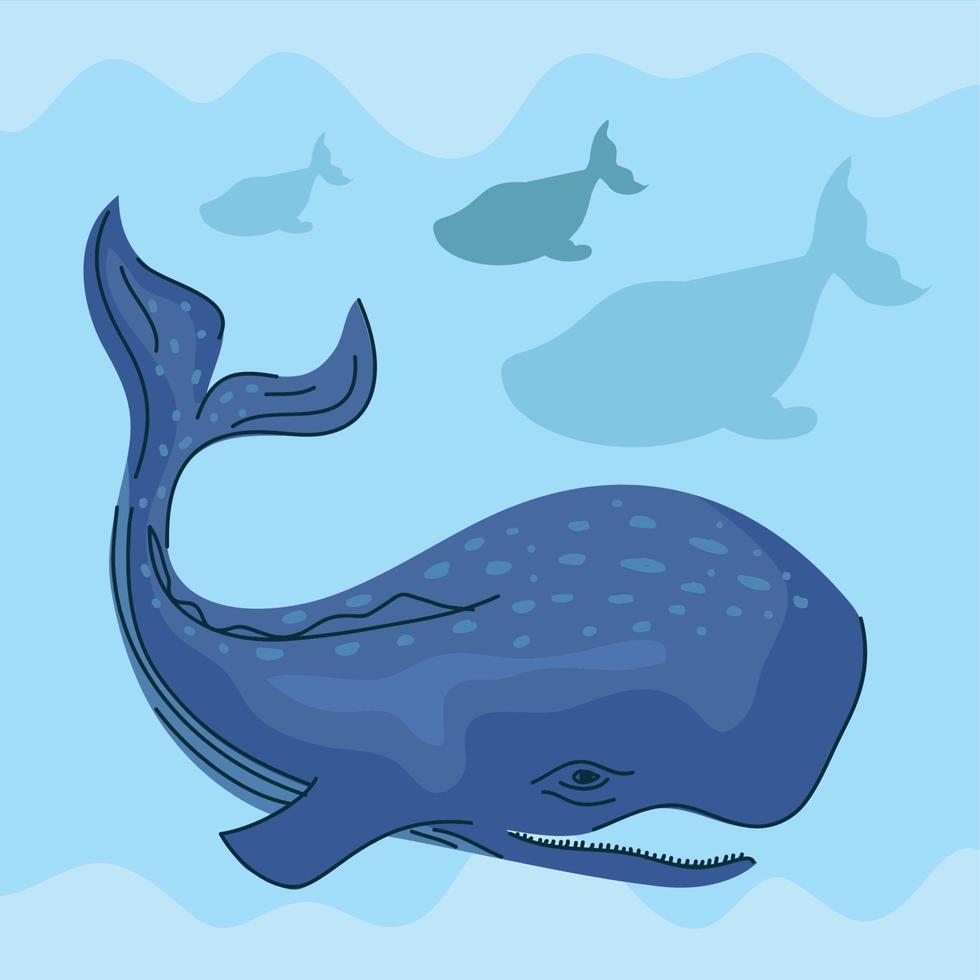 whales swiming undersea vector