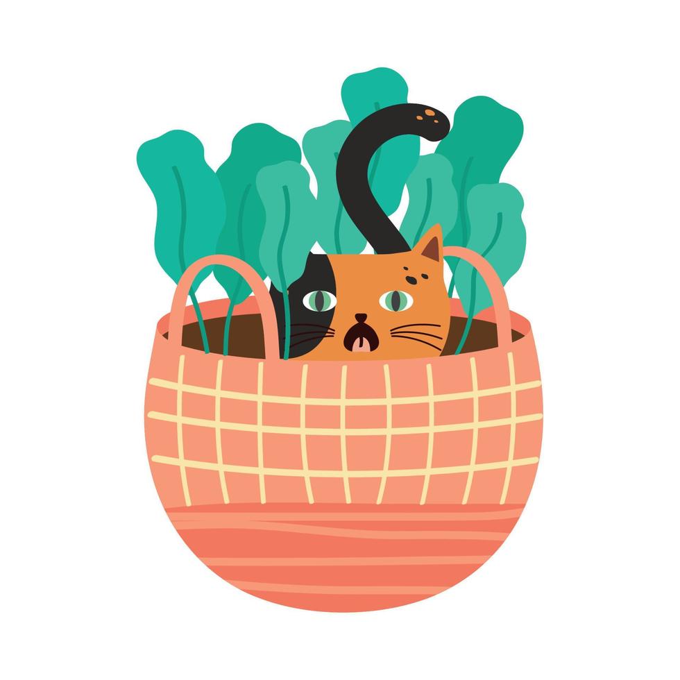 cute cat in basket pet vector