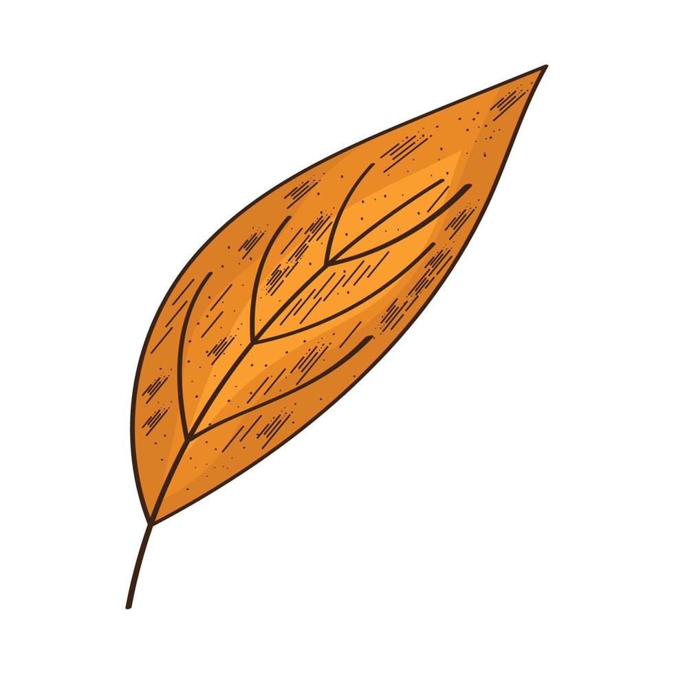 orange leaf autumn seasonal vector