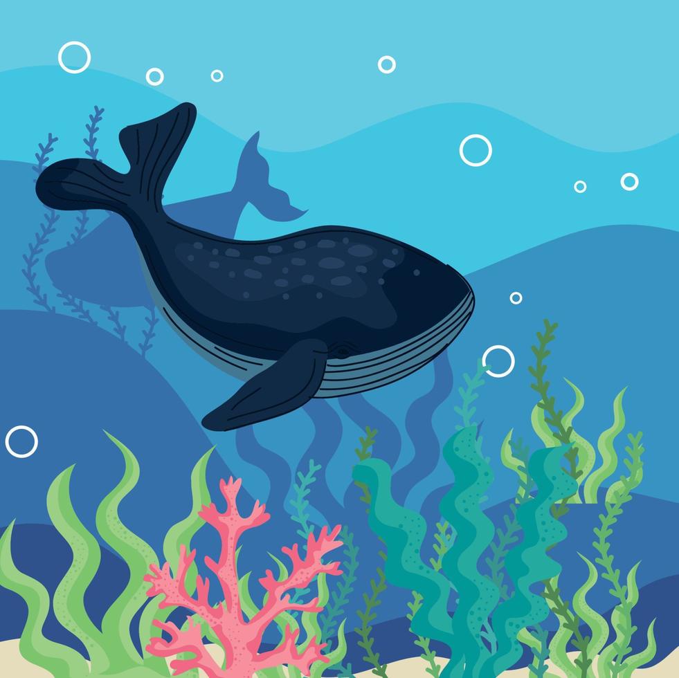 whale and seaweed underwater vector