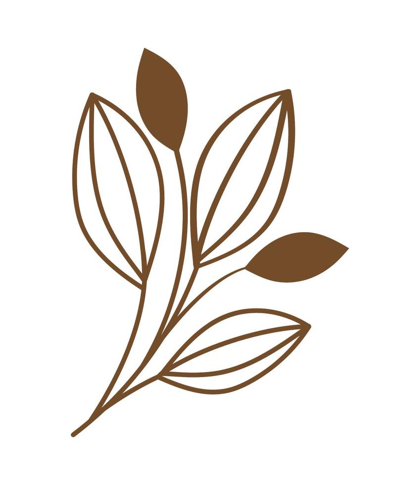 leafs in branch vector