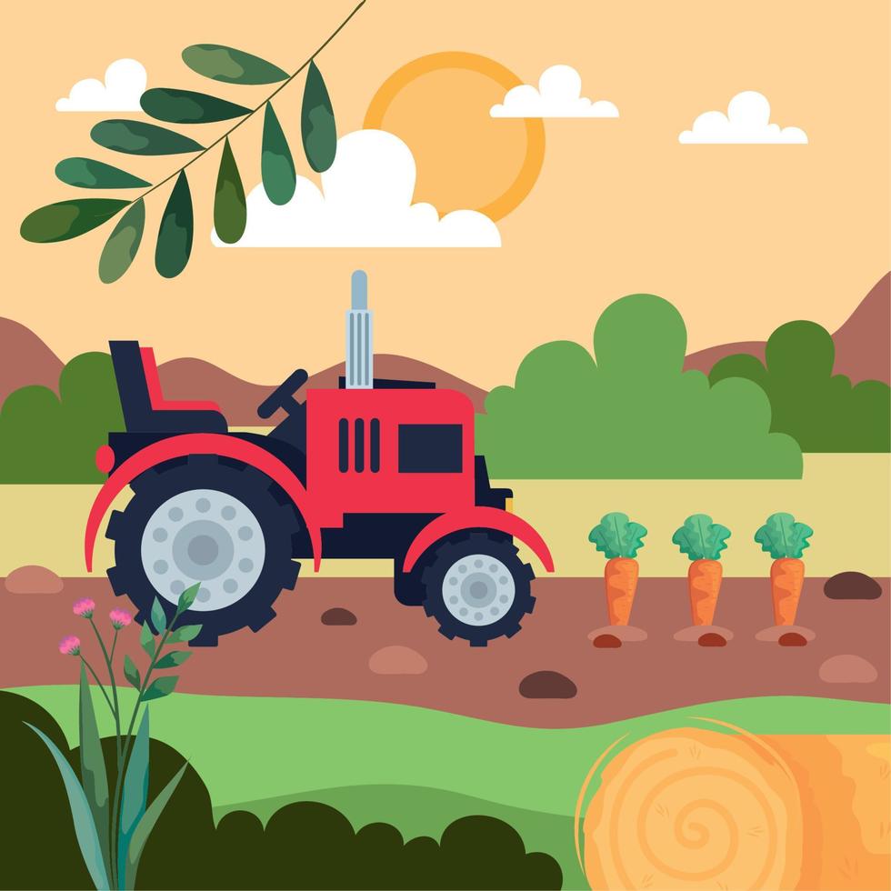 tractor y cultivo de zanahorias vector