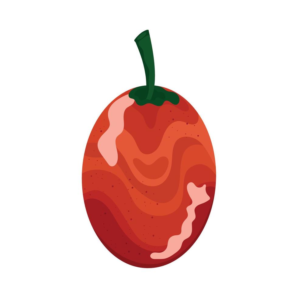 tomate de árbol fruta fresca vector