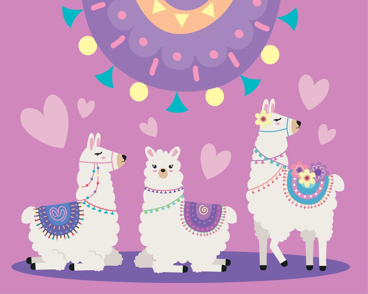 sweet llamas with hearts vector