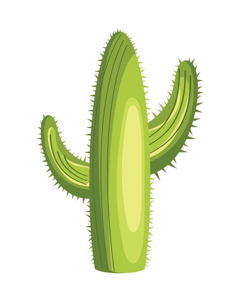 planta del desierto de cactus vector