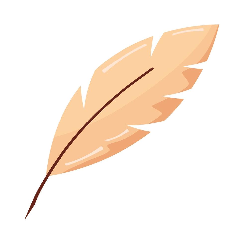 white feather bird vector