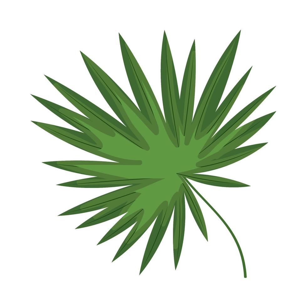 exotic and tropical leaf vector