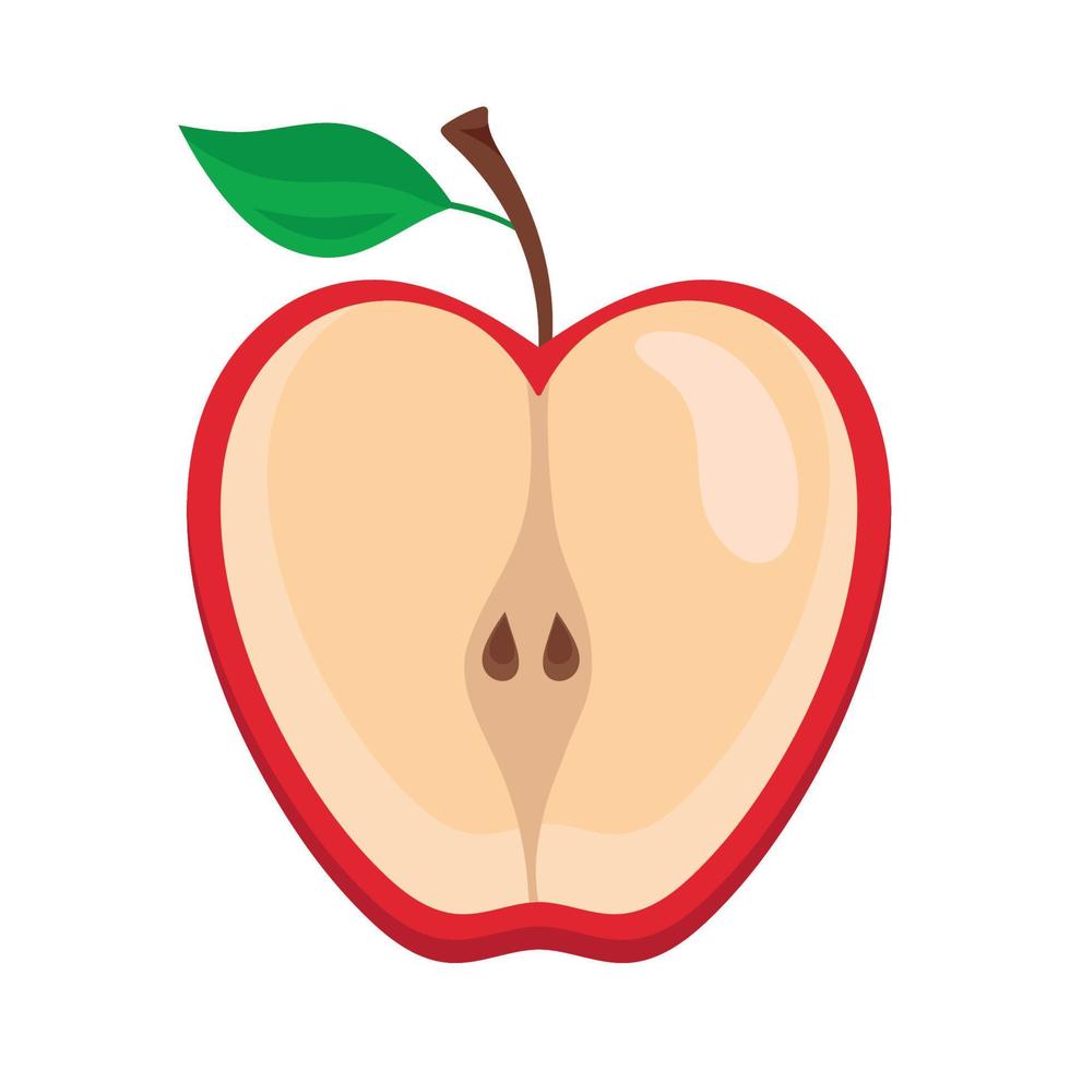 manzana fruta fresca mitad vector