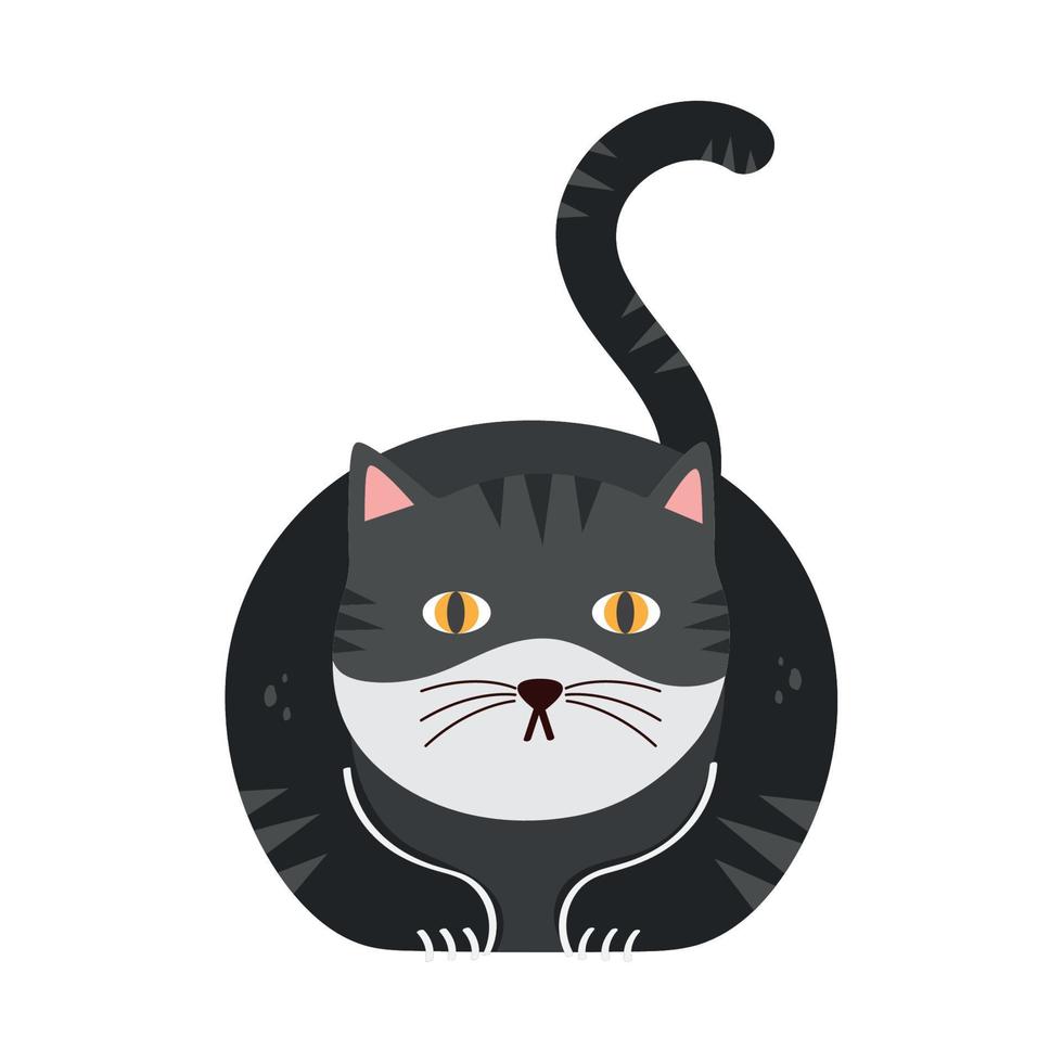 cute black cat pet vector
