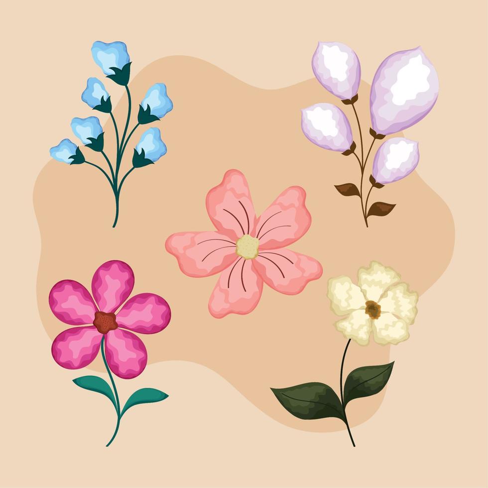 five flowers garden decorations vector