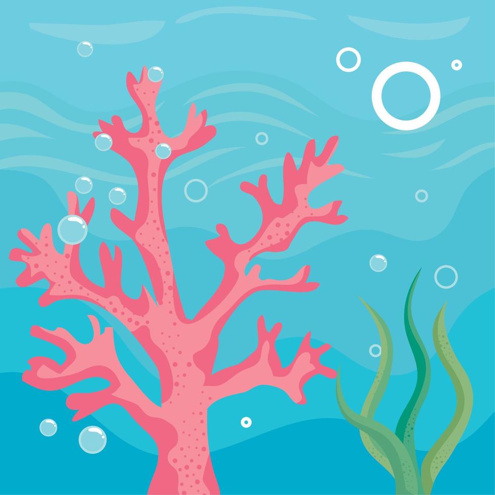 algae and seaweed underwater vector